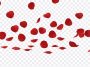 Falling Rose Petals, Falling Rose, Falling Rose Petals PNG, Falling, Rose Petals PNG, Petals PNG, PNG, PNG Images, Transparent Files, png free, png file, Free PNG, png download, PNG Image Hub,