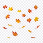 Falling Leaves, Fall, Orange Leaves, Falling, Falling Leaves PNG, Leaves PNG, PNG, PNG Images, Transparent Files, png free, png file, Free PNG, png download, PNG Image Hub,