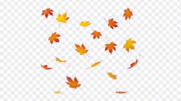 Falling Leaves, Fall, Orange Leaves, Falling, Falling Leaves PNG, Leaves PNG, PNG, PNG Images, Transparent Files, png free, png file, Free PNG, png download, PNG Image Hub,