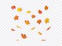 Falling Leaves, Fall, Orange Leaves, Falling, Falling Leaves PNG, Leaves PNG, PNG, PNG Images, Transparent Files, png free, png file, Free PNG, png download, PNG Image Hub,