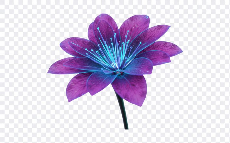 Futuristic Flower with AI, Flower PNG, Flower with AI PNG, Futuristic Flower with AI PNG, AI Art PNG, Futuristic Flower, PNG, PNG Images, Transparent Files, png free, png file, Free PNG, png download, PNG Image Hub,