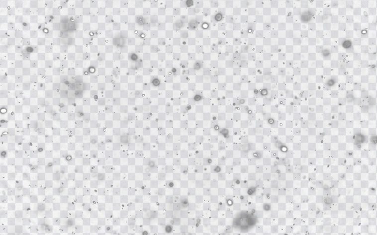 Snow Falling, Snow, Snow Falling PNG, Snow PNG, December, PNG, PNG Images, Transparent Files, png free, png file, Free PNG, png download, PNG Image Hub,