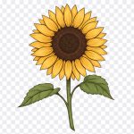 Sunflower Illustration, Sunflower, Sunflower Illustration PNG, Flower PNG, Illustration PNG, PNG, PNG Images, Transparent Files, png free, png file, Free PNG, png download, PNG Image Hub,