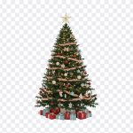 Christmas Tree Decorated: A beautifully decorated Christmas tree, image available for download. See the blog post "Christmas Tree Decorated" for more