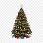 Christmas Tree blog post image: A beautifully decorated Christmas tree. Downloadable high resolution image available