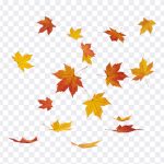 Falling Leaves: Stunning autumn image of falling leaves. Download this high resolution photo from the "Falling Leaves" blog post