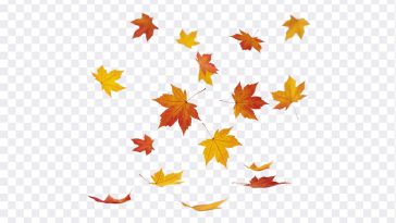 Falling Leaves: Stunning autumn image of falling leaves. Download this high resolution photo from the "Falling Leaves" blog post