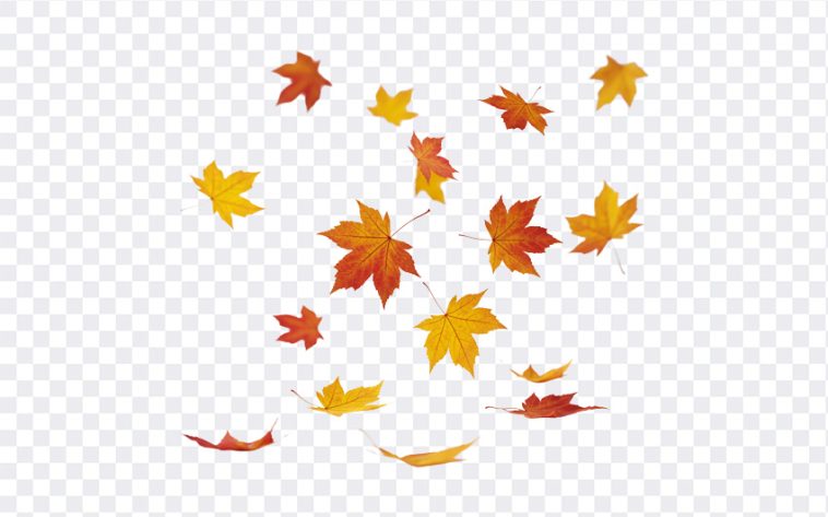 Falling Leaves: Stunning autumn image of falling leaves. Download this high resolution photo from the "Falling Leaves" blog post