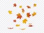 Falling Leaves: Stunning autumn image of falling leaves. Download this high resolution photo from the "Falling Leaves" blog post