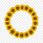 Vibrant sunflower frame, perfect for summer projects. Sunflowers bursting with color create a beautiful, natural border. Downloadable sunflower frame