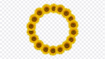 Vibrant sunflower frame, perfect for summer projects. Sunflowers bursting with color create a beautiful, natural border. Downloadable sunflower frame