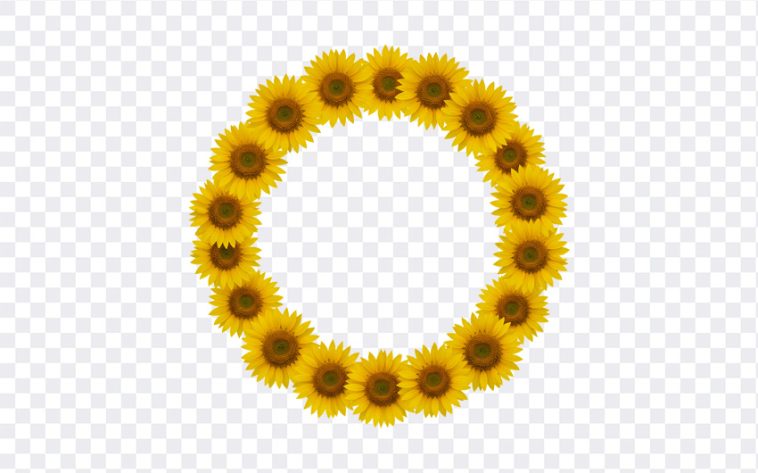 Vibrant sunflower frame, perfect for summer projects. Sunflowers bursting with color create a beautiful, natural border. Downloadable sunflower frame