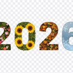 2026 Seasonal, 2026, 2026 Seasonal PNG, Happy New Year, Calandar, 2026 Year, PNG, PNG Images, Transparent Files, png free, png file, Free PNG, png download, PNG Image Hub,