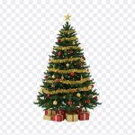 Christmas Tree, Christmas, Christmas Tree PNG, PNG, PNG Images, Transparent Files, png free, png file, Free PNG, png download, PNG Image Hub,