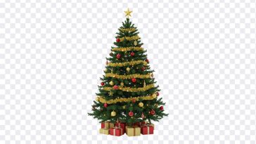 Christmas Tree, Christmas, Christmas Tree PNG, PNG, PNG Images, Transparent Files, png free, png file, Free PNG, png download, PNG Image Hub,