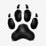 Dog Paw, Dog, Dog Paw PNG, Paw Print, Paw PNG, PNG, PNG Images, Transparent Files, png free, png file, Free PNG, png download, PNG Image Hub,