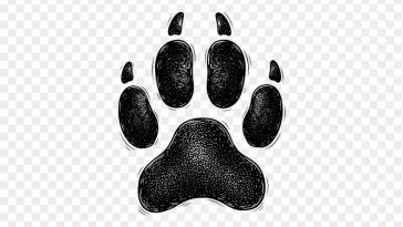 Dog Paw, Dog, Dog Paw PNG, Paw Print, Paw PNG, PNG, PNG Images, Transparent Files, png free, png file, Free PNG, png download, PNG Image Hub,