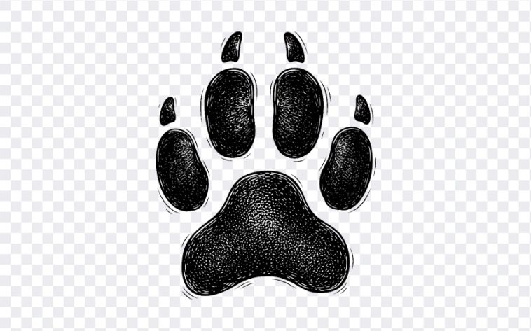 Dog Paw, Dog, Dog Paw PNG, Paw Print, Paw PNG, PNG, PNG Images, Transparent Files, png free, png file, Free PNG, png download, PNG Image Hub,