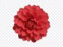Flower PNG, Flower, Flower PNG Isolated, Red Flower, Nature, PNG, PNG Images, Transparent Files, png free, png file, Free PNG, png download, PNG Image Hub,
