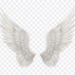 Wings Transparent, Heaven, Gods, Wings, Wings Transparent PNG, Wings PNG, Tranasparent Wings, Angel Wings, Wings fromm Angels, PNG, PNG Images, Transparent Files, png free, png file, Free PNG, png download, PNG Image Hub,