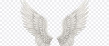 Wings Transparent, Heaven, Gods, Wings, Wings Transparent PNG, Wings PNG, Tranasparent Wings, Angel Wings, Wings fromm Angels, PNG, PNG Images, Transparent Files, png free, png file, Free PNG, png download, PNG Image Hub,