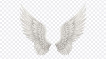Wings Transparent, Heaven, Gods, Wings, Wings Transparent PNG, Wings PNG, Tranasparent Wings, Angel Wings, Wings fromm Angels, PNG, PNG Images, Transparent Files, png free, png file, Free PNG, png download, PNG Image Hub,