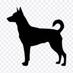 Dog Silhouette PNG, Dog Silhouette, Dog Silhouette PNG Transparent, Silhouette, Dog PNG Transparent, Dog, PNG, PNG Images, Transparent Files, png free, png file, Free PNG, png download, PNG Image Hub,