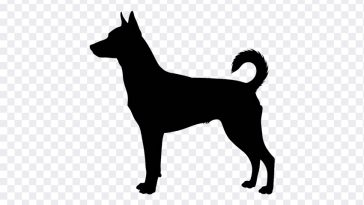 Dog Silhouette PNG, Dog Silhouette, Dog Silhouette PNG Transparent, Silhouette, Dog PNG Transparent, Dog, PNG, PNG Images, Transparent Files, png free, png file, Free PNG, png download, PNG Image Hub,