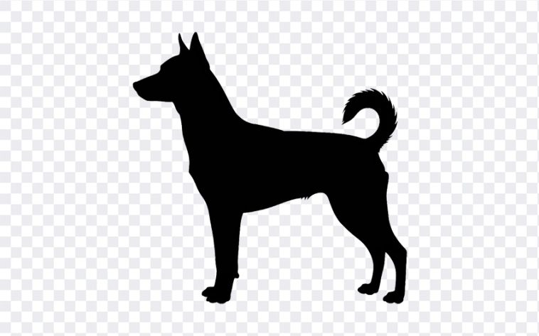 Dog Silhouette PNG, Dog Silhouette, Dog Silhouette PNG Transparent, Silhouette, Dog PNG Transparent, Dog, PNG, PNG Images, Transparent Files, png free, png file, Free PNG, png download, PNG Image Hub,